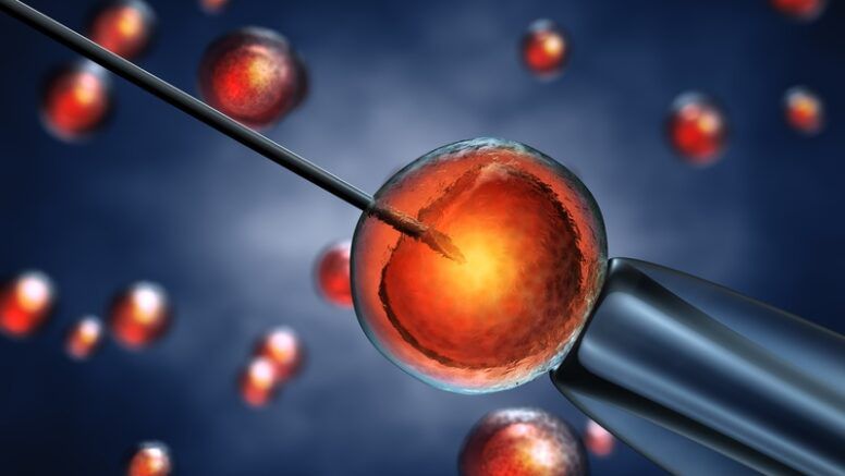 In Vitro fertilization
Intracytoplasmic sperm injection , sperm injected into an oocyte , detailed illustration
cell, egg, zygote, zygocyte, ovum, biology, research, fertilisation, insemination, artificial, human, 3d, magnification, microscope, nucleus, stem, genetic, science, blastocyst, reproduction, fertility, embryo, clone, genes, diploid, reproductive, procreation, conception, gamete, oocyte, embryology, embryogenesis, illustration, in vitro, assisted, sperm, injection, intracytoplasmic, fertilization, fecundation, needle, injector, pipette, medicine, biotechnology, pregnancy, life, cell, egg, fertilisation, insemination, embryo, in vitro, fertilization, zygote, clone, zygocyte, genetic, ovum, biology, research, artificial, human, 3d, magnification, microscope, nucleus, stem, science, blastocyst, reproduction, fertility, genes, diploid, reproductive, procreation, conception, gamete, oocyte, embryology, embryogenesis, illustration, assisted, sperm, injection, intracytoplasmic, fecundation, needle, injector, pipette, medicine, biotechnology, pregnancy, life