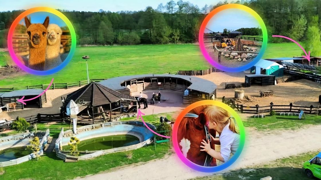 FUNDACJA ELDORADO & KUCYKOMANIA