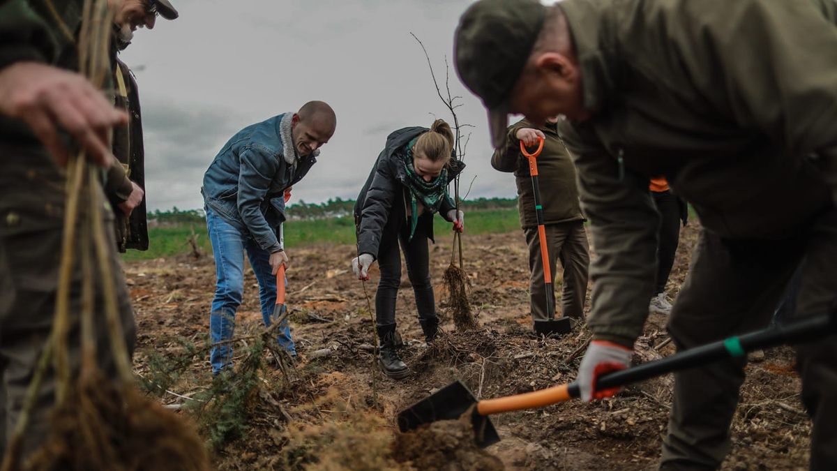Wiosenne sadzenie drzew!