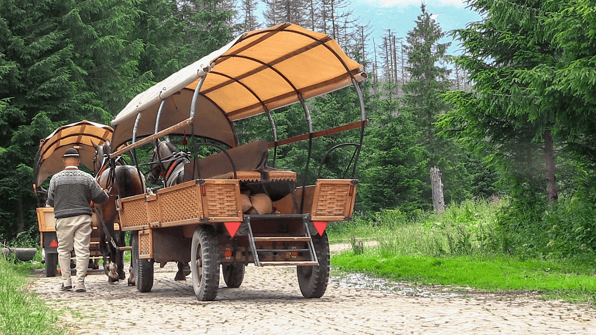 koniki, morskie oko, palenica białczańska, tatry, góry