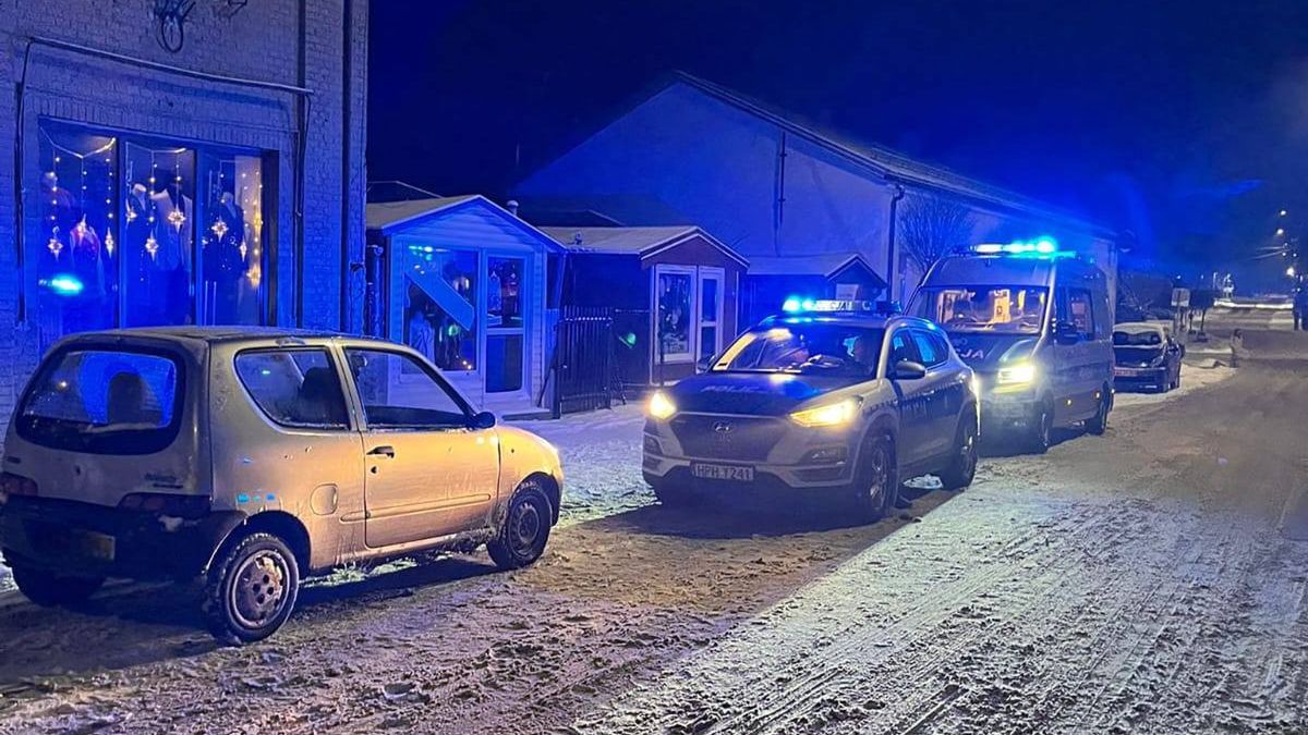 Interwencje płockiej policji w Sylwestra