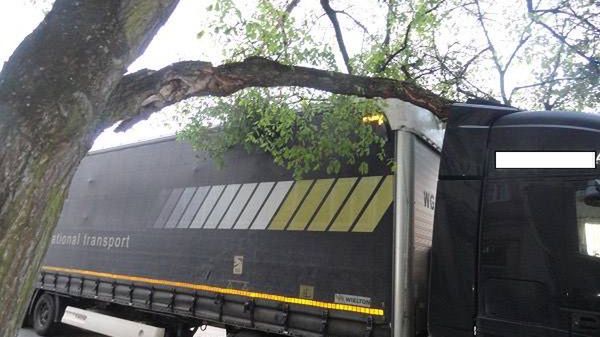 Ciężarówka utknęła pod drzewem