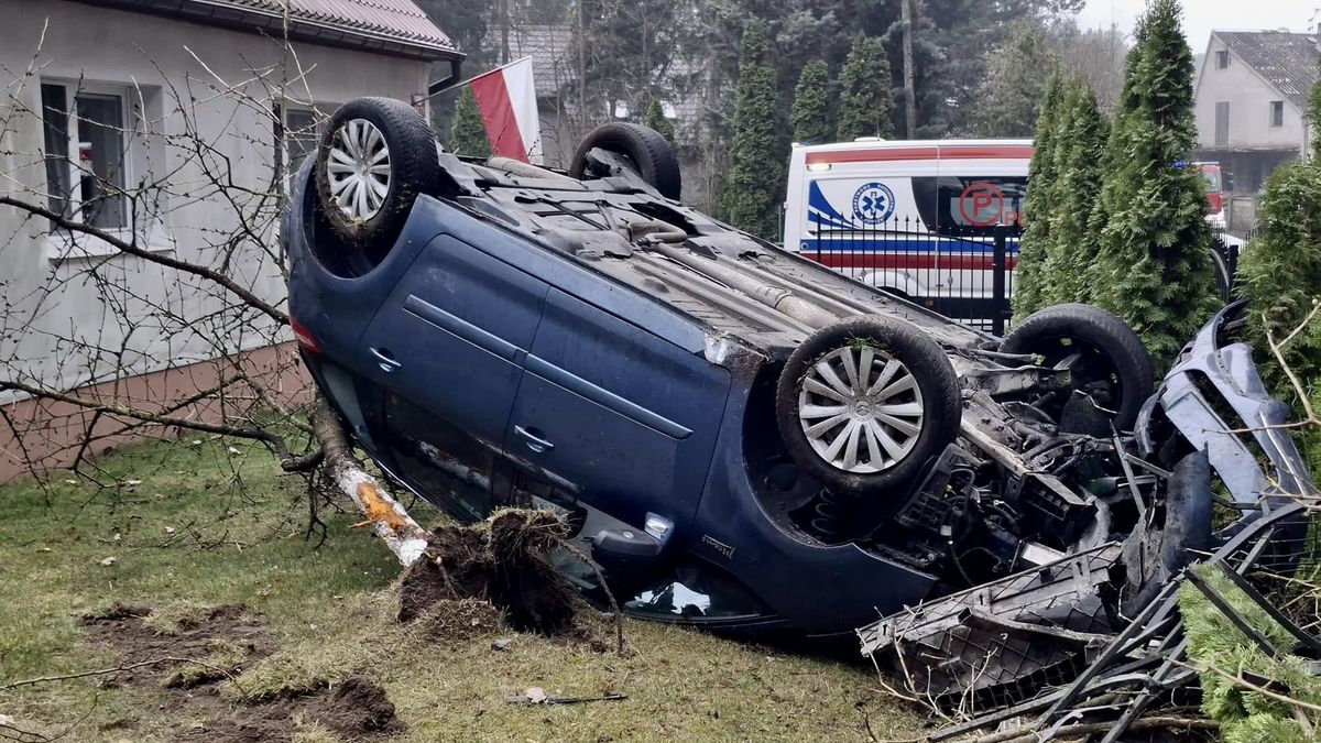 Dachowanie w ogródku