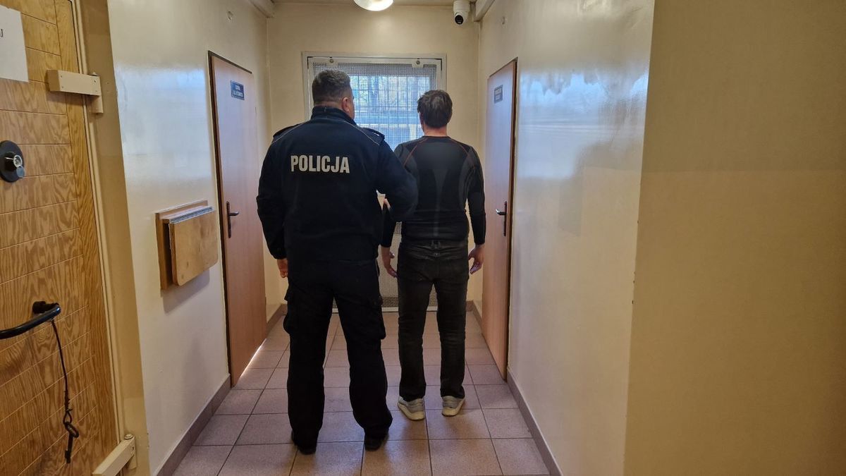 policja
