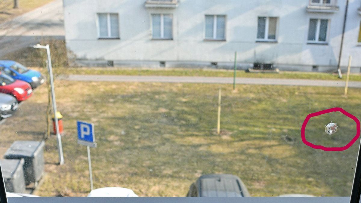 policja