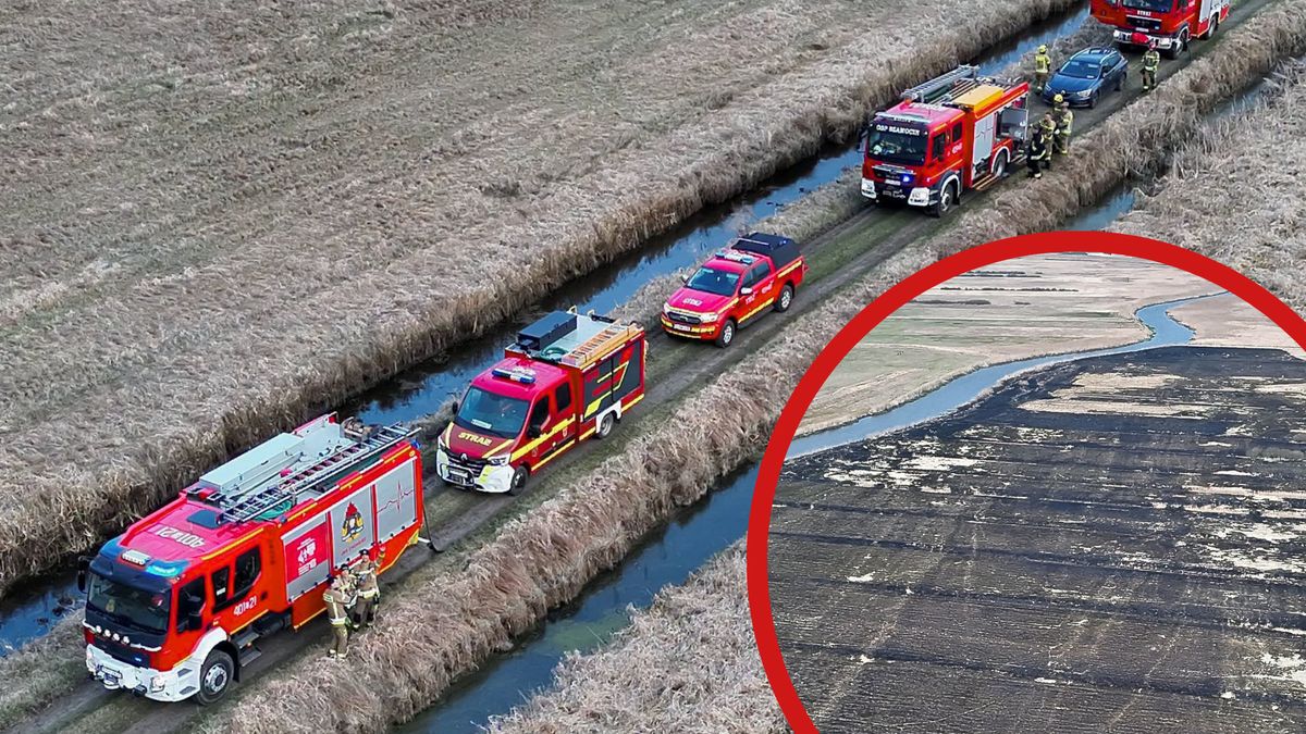 Pożar łąk nadnoteckich