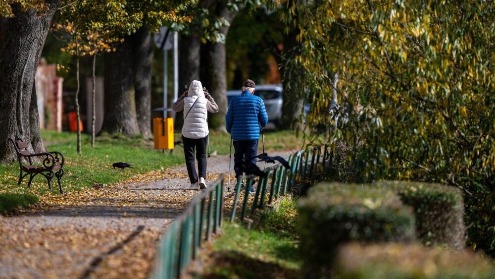 jesie�
Darek Delmanowicz
ciep�e, ilustracja, jesieni, jesienne, jesienny, jesie�, �awka, nordic walking, para, park, pogoda, popo�udnie, pory roku, przebitka, senior, seniorka, s�oneczna, s�o�ce, spacer, starsi ludzie, starsza kobieta