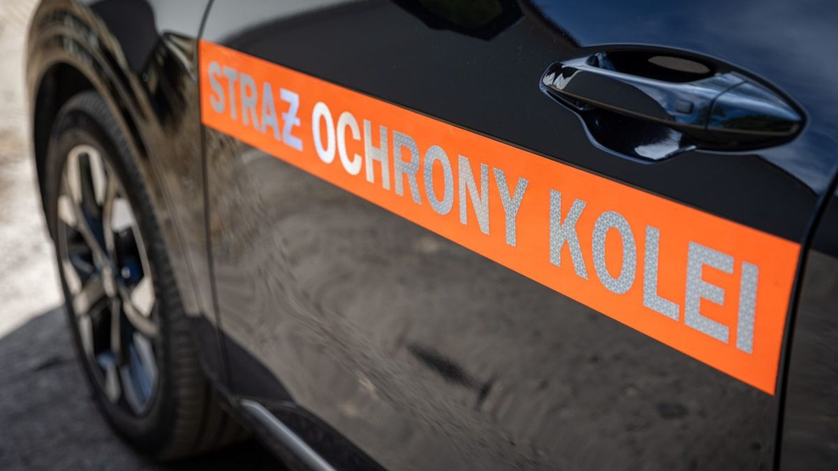 Służba Ochrony Kolei