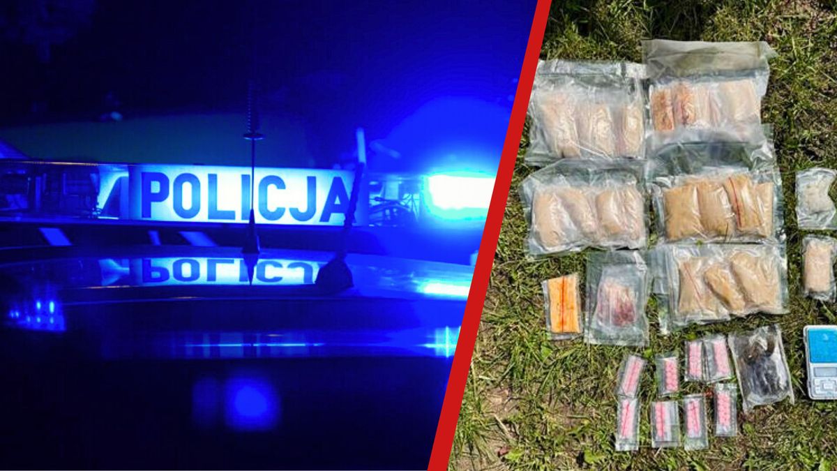 narkotyki, policja
