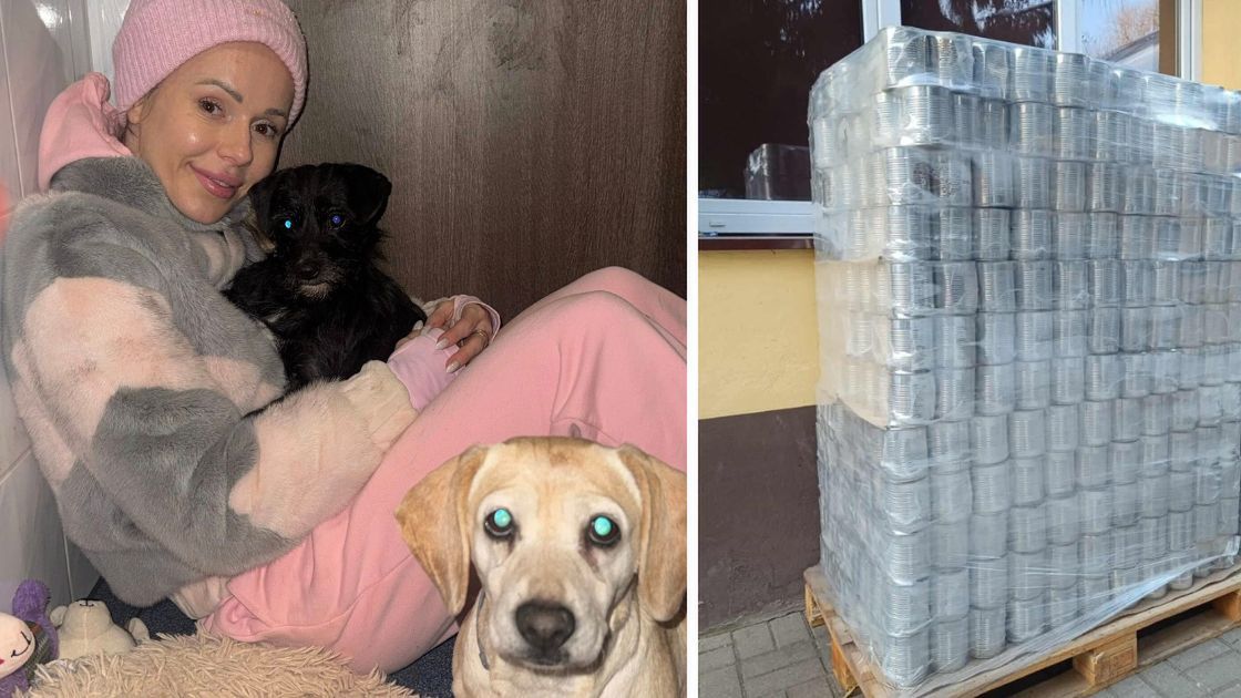 Doda pomaga schroniskom