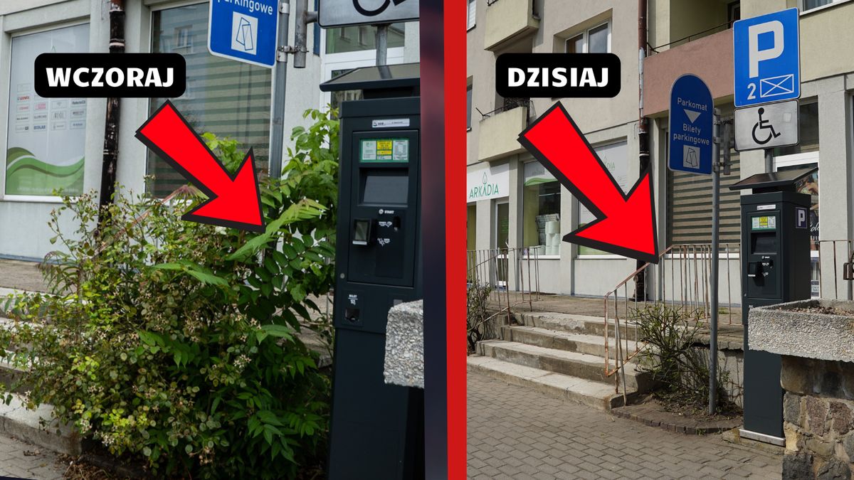 Piła, ul. Spacerowa