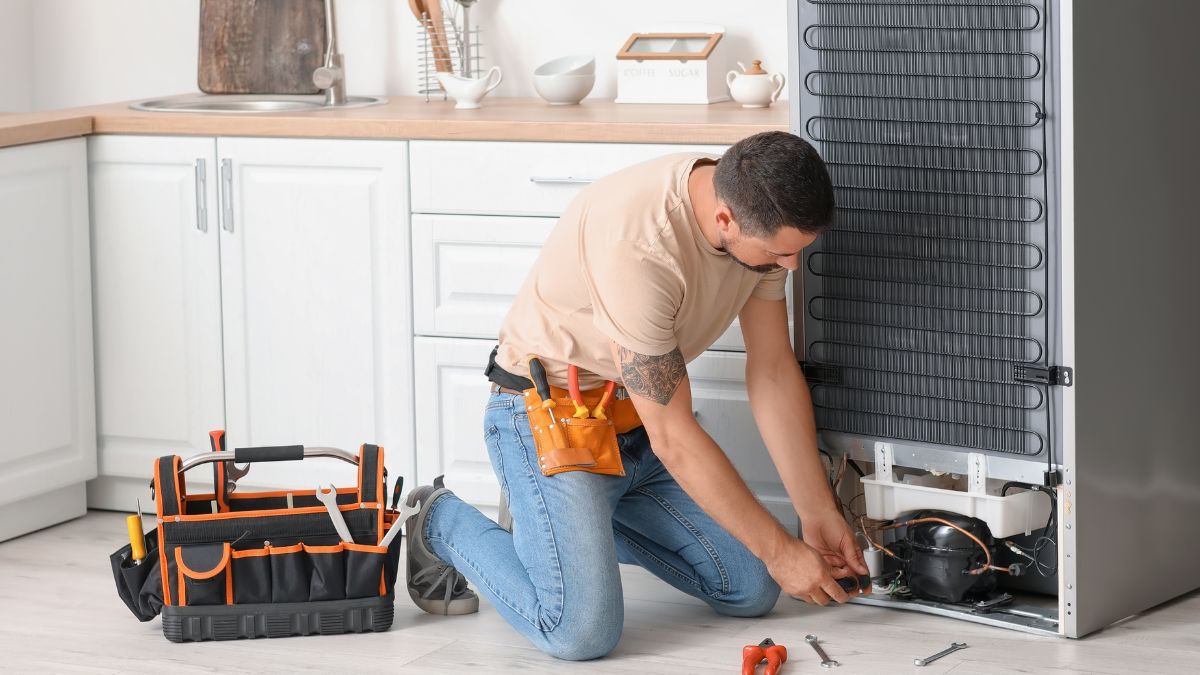 majster, złota rączka