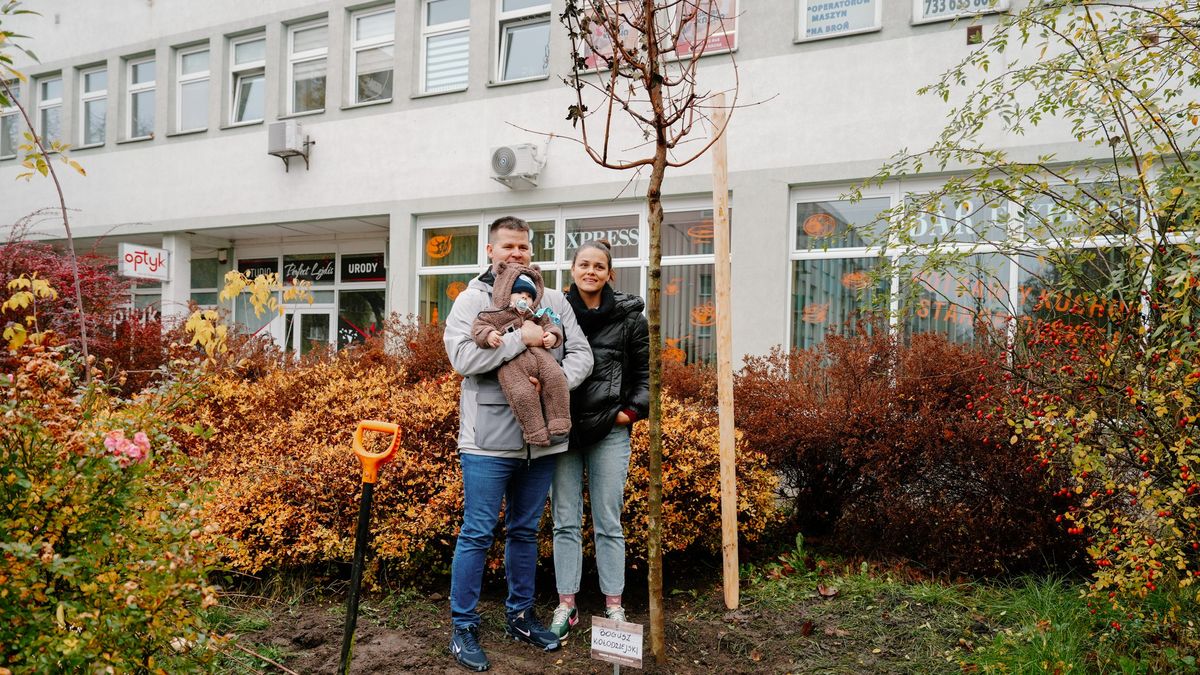 Drzewa Młodych Płocczan 