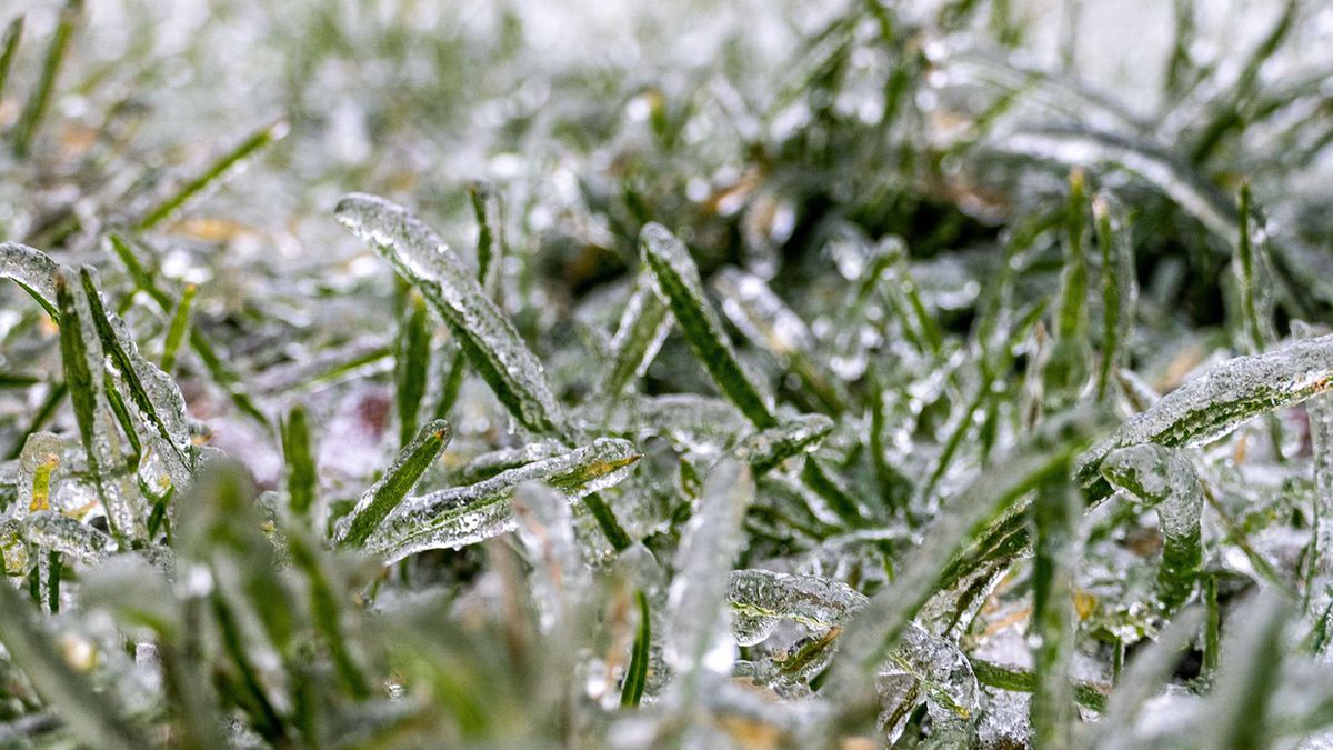 Gołoledź i marznące opady