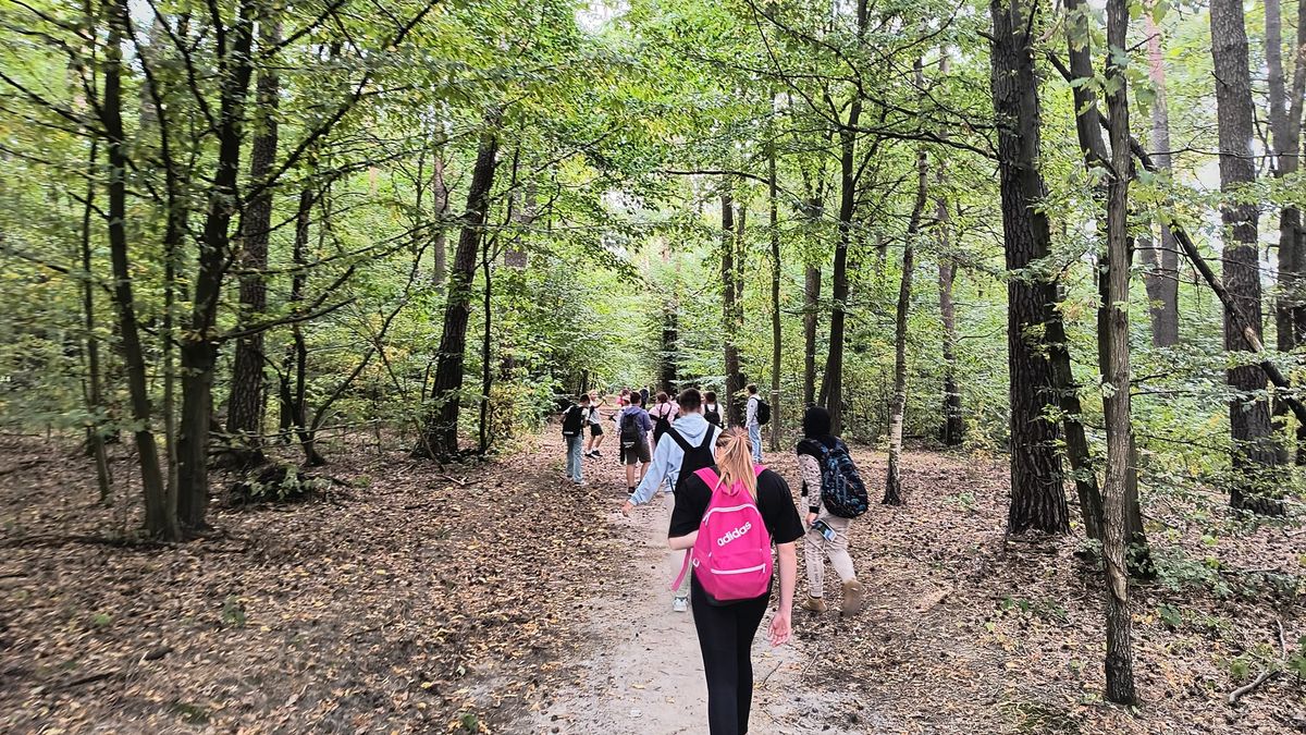 Bieg rodzinny i atrakcje 