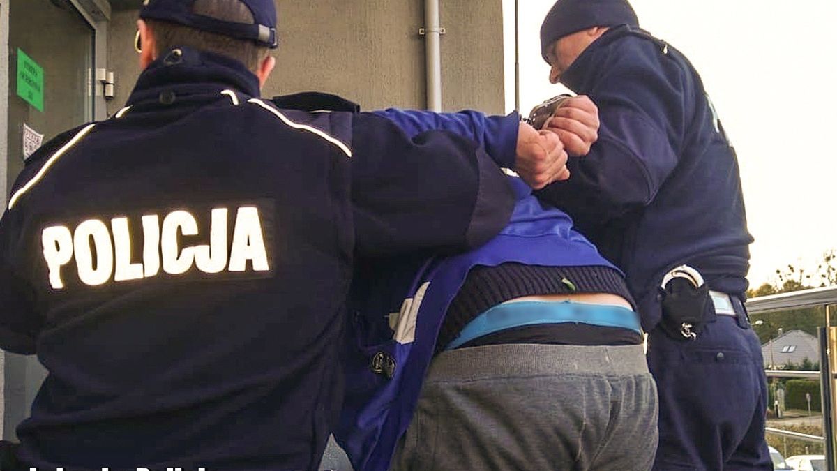policja