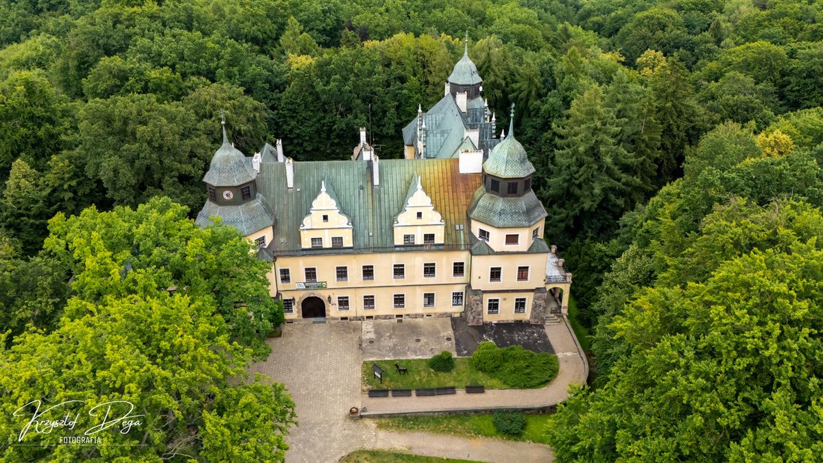 Zamek w Goraju, Zamek, Goraj, Wielkopolska