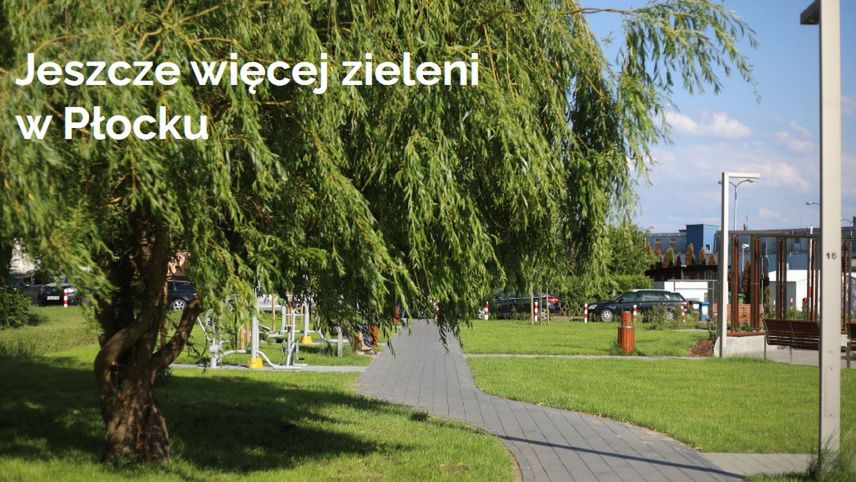 Ochrona bioróżnorodności na terenie Miasta Płocka poprzez tworzenie zielonych przestrzeni publicznych