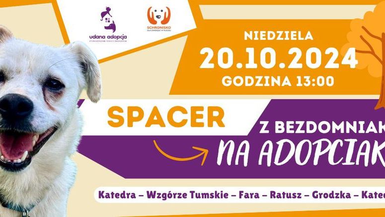 Spacer z podopiecznymi schroniska