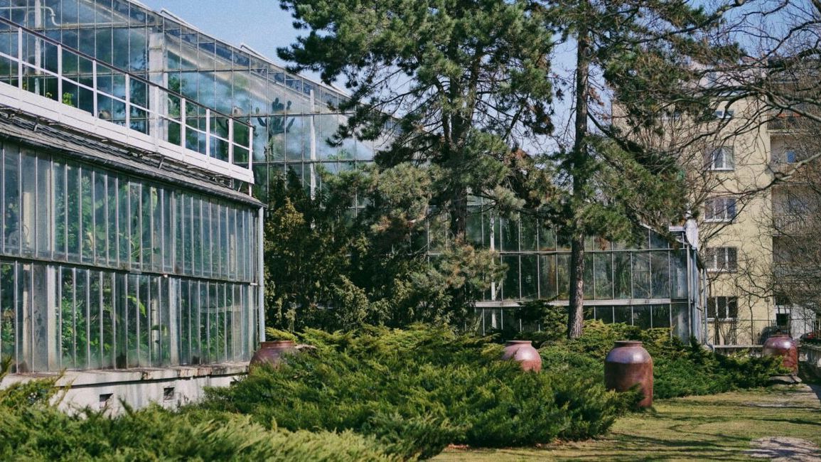 Palmiarnia Poznańska 