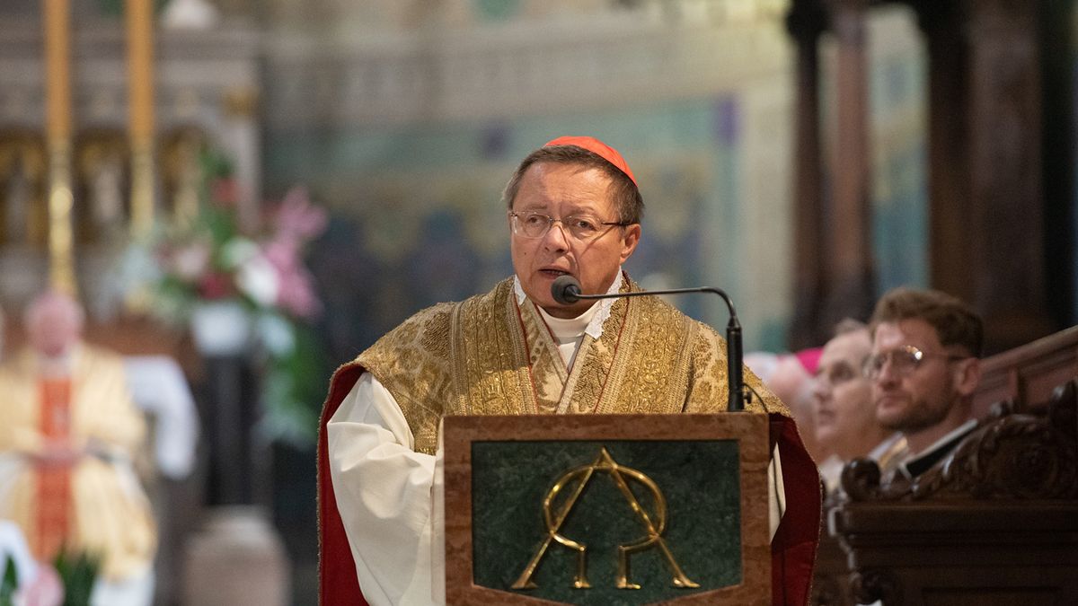 Inauguracja 950-lecia Diecezji Płockiej