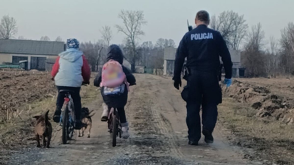 policja