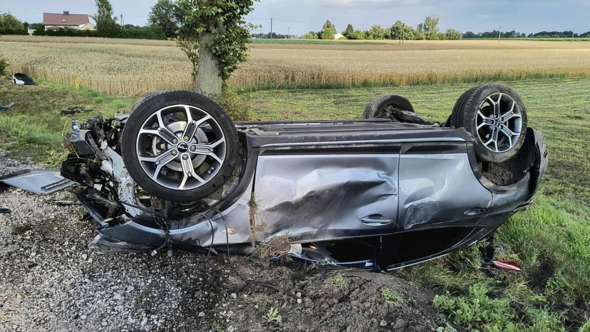 Dachowanie w Tchórzu