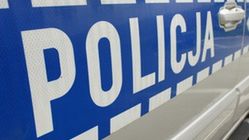 policja