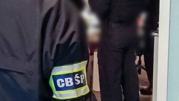 policja