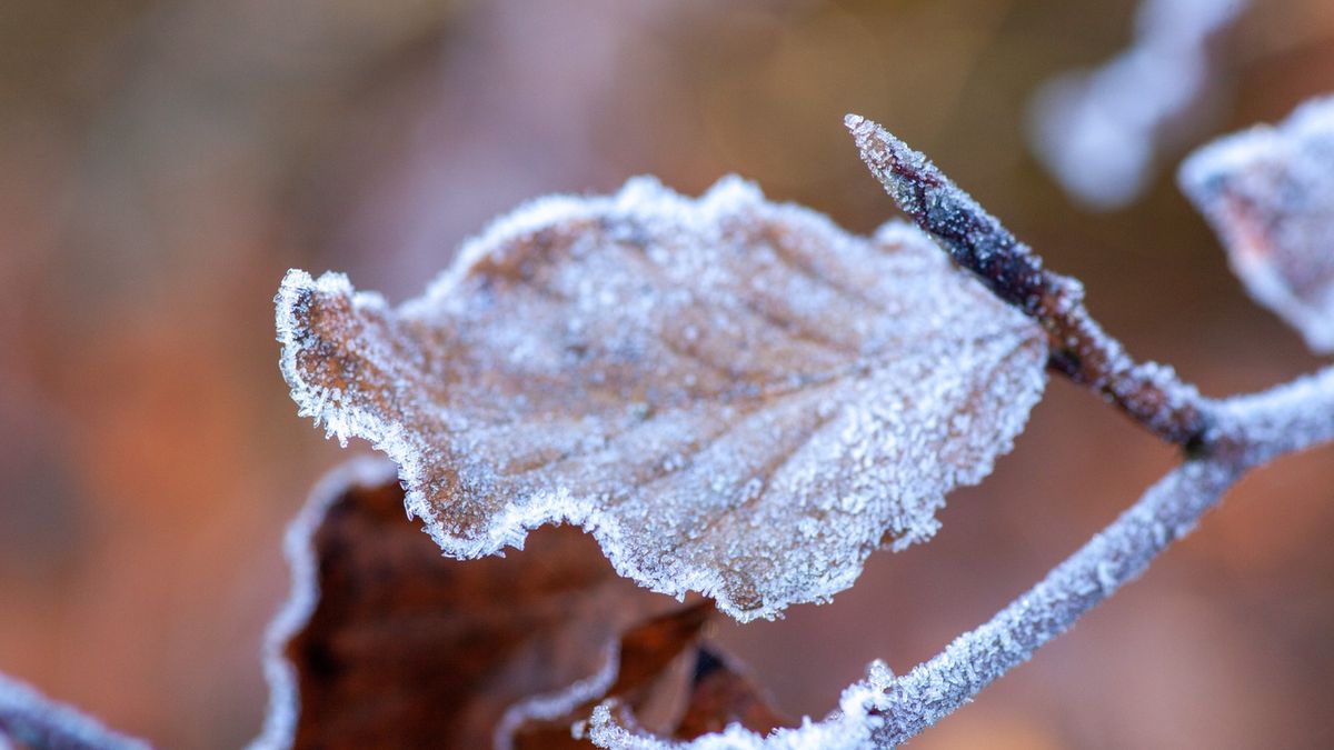 Ostrzeżenie gołoledź
