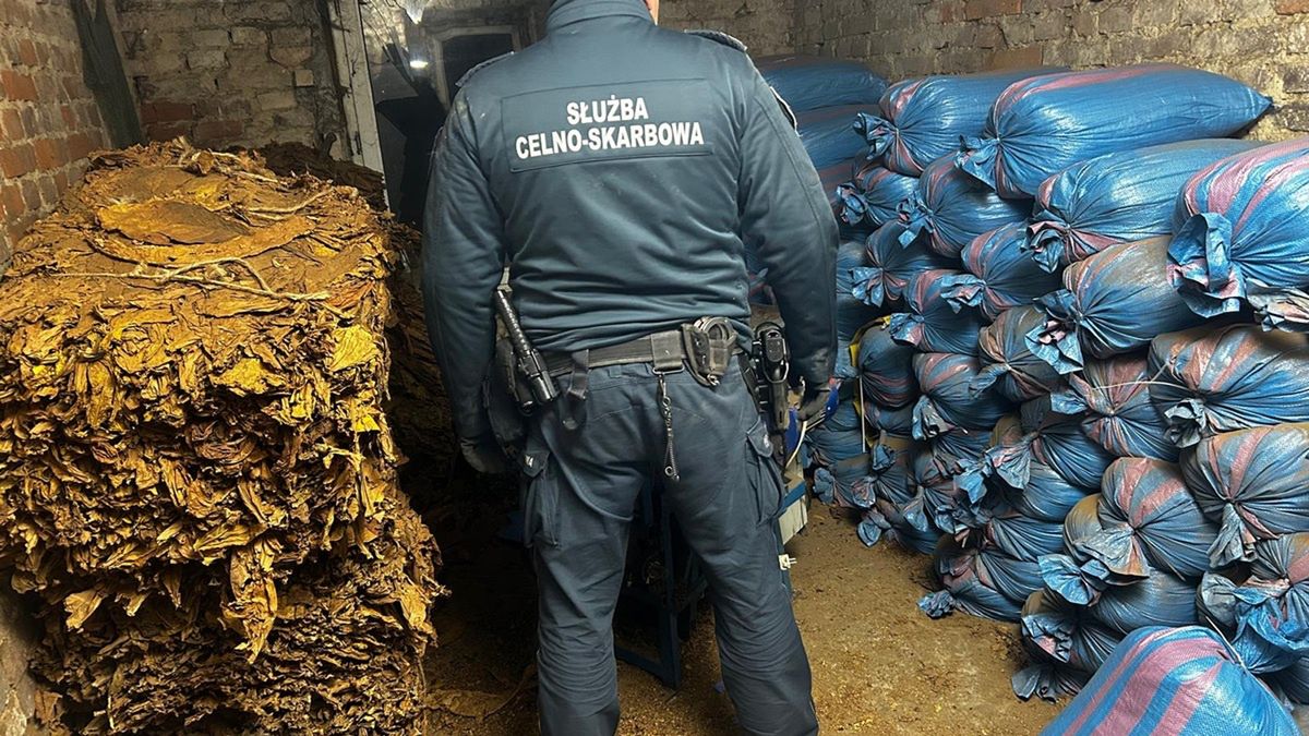 Foto: Krajowa Administracja Skarbowa - Lublin