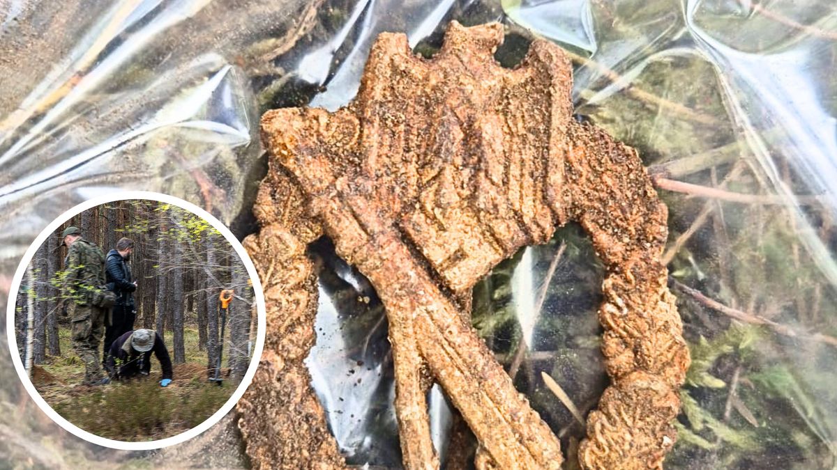 Odkrycie szczątków niemieckiego oficera pod Piłą, Stowarzyszenie Dąbrowa