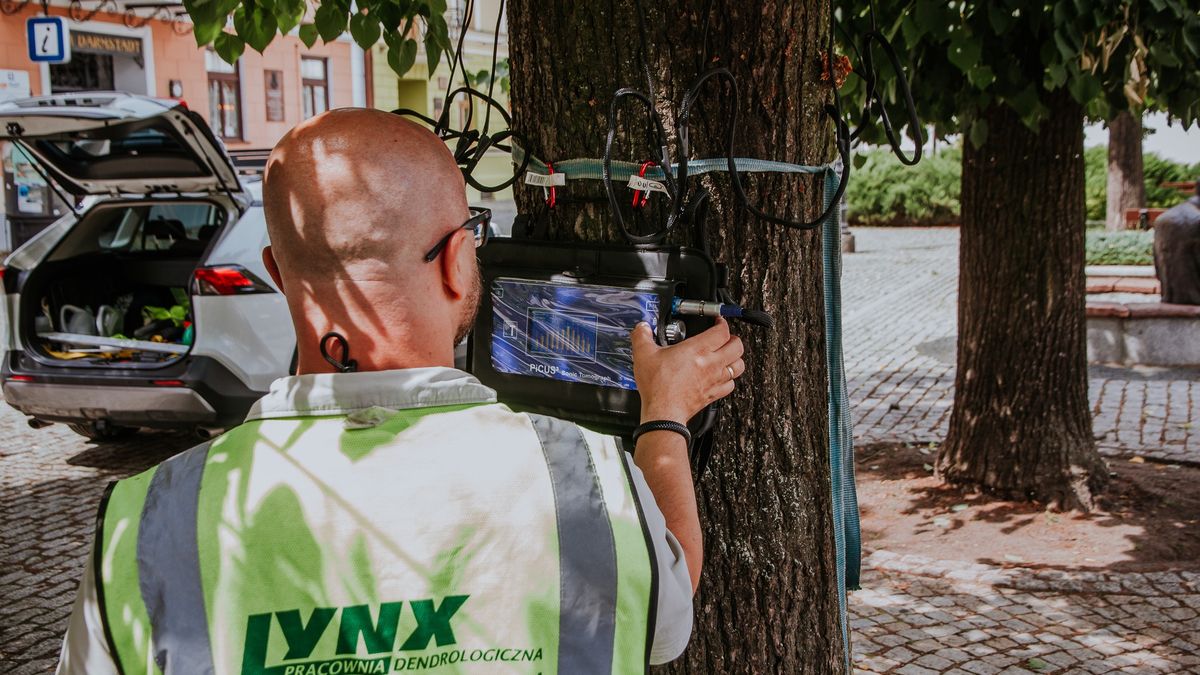 Zespol ds. Medialnych