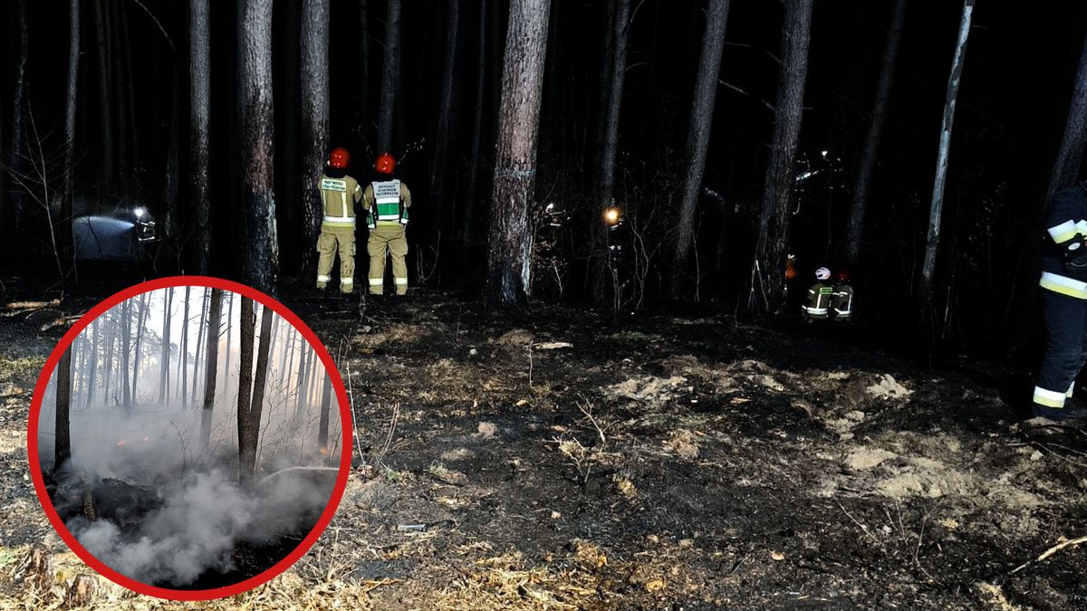 Pożar lasu w Kłodzie