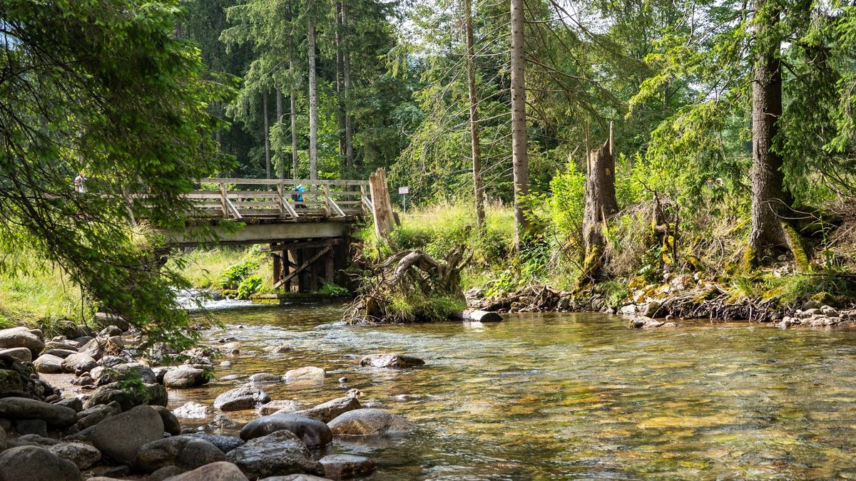 Dolina Kościeliska, Tatry, góry
