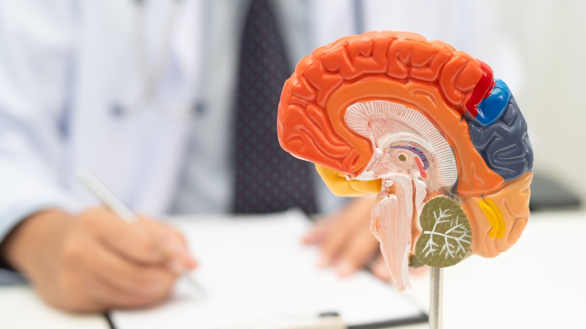 Prosty test krwi może wykrywać guzy mózgu. Naukowcy mówią o przełomie