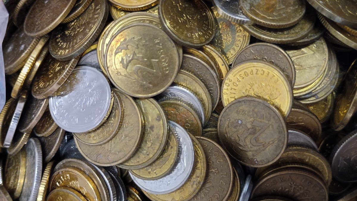 Znaleziono monety 