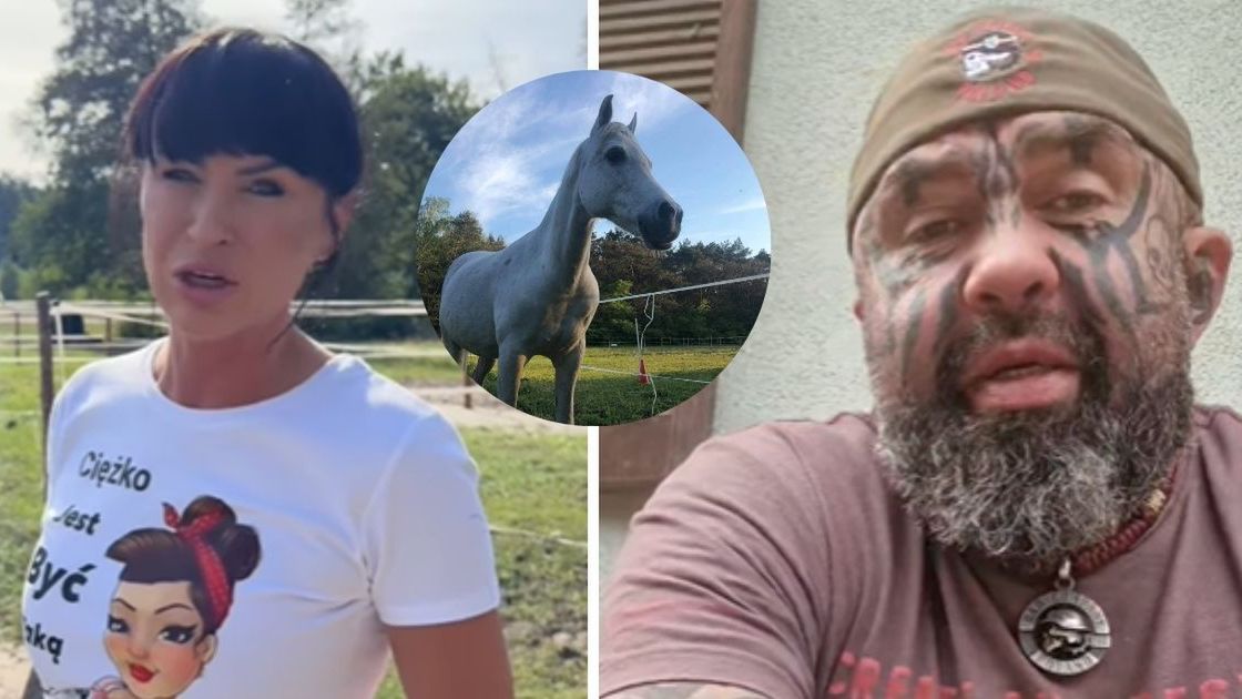 Zbiórka na ziemię dla koni 