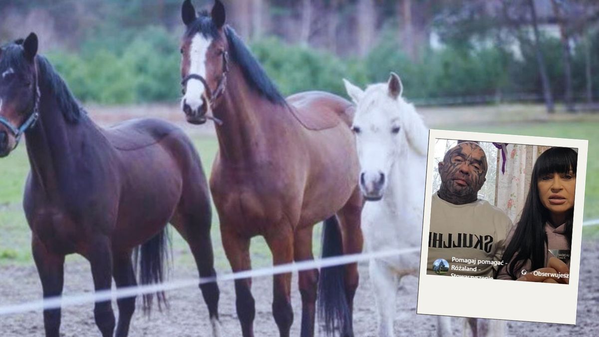 Sukces zbiórki dla koni