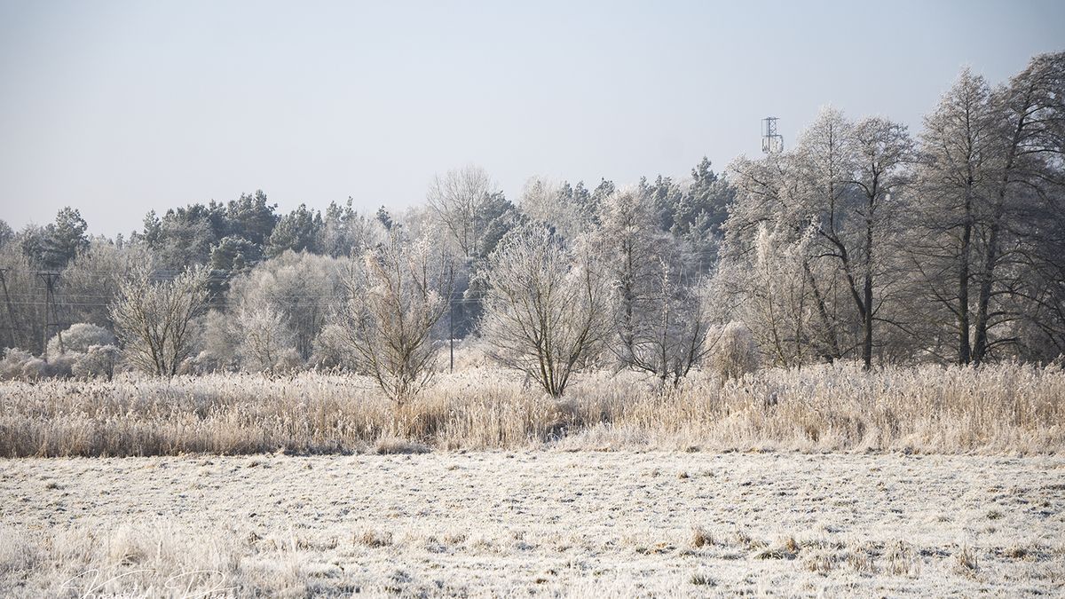 Mróz , zima, śnieg, Piła