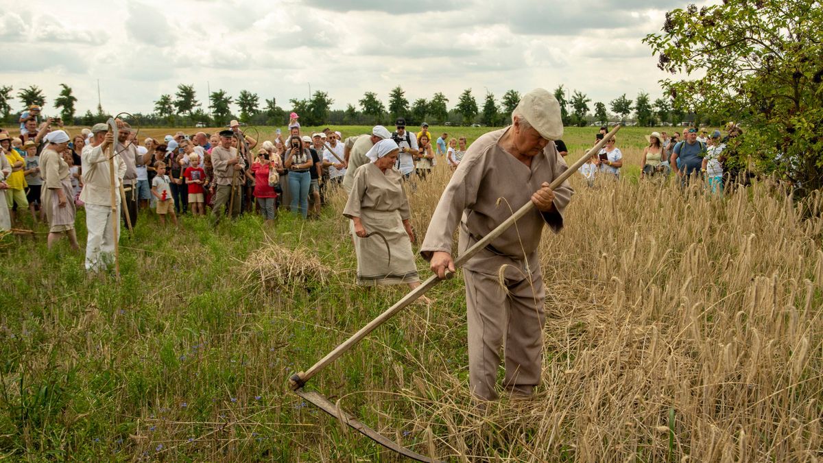 Muzeum Wsi Mazowieckiej w Sierpcu