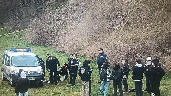 Dzień Wagarowicza 2024 rok