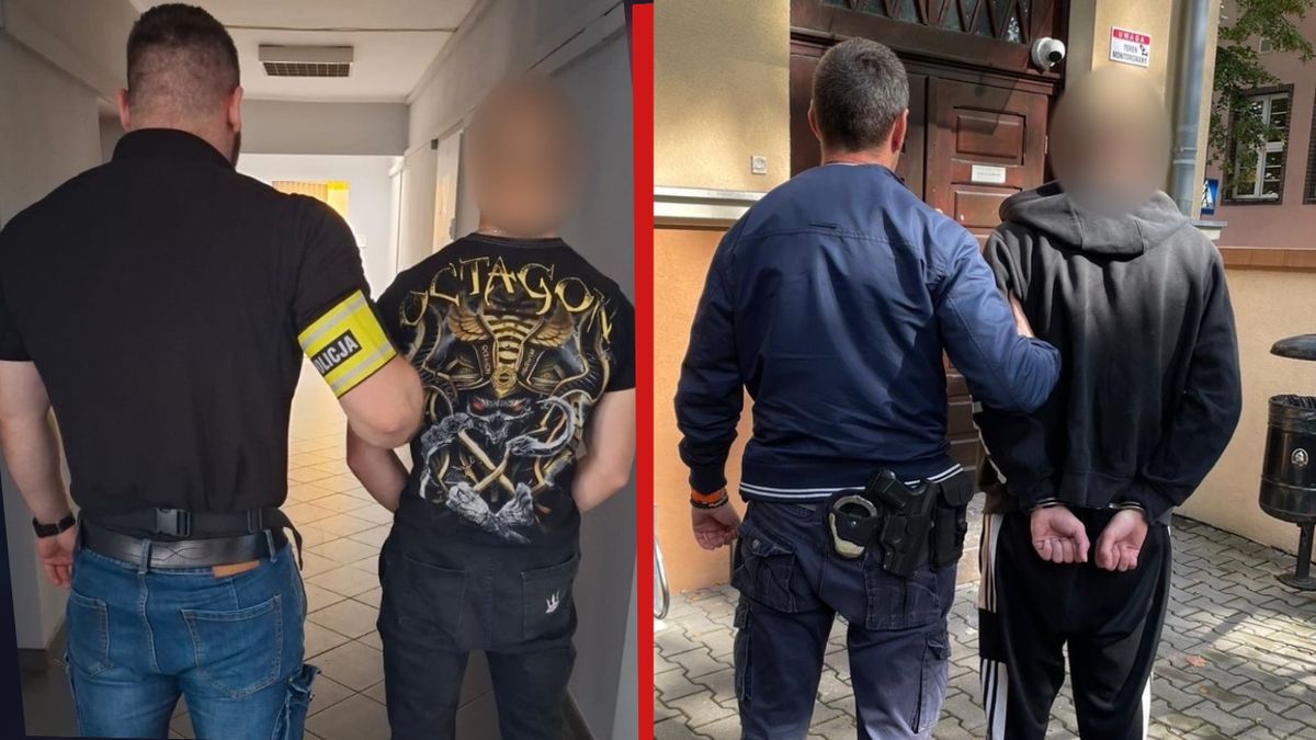 17 i 18-latek zatrzymani przez policję