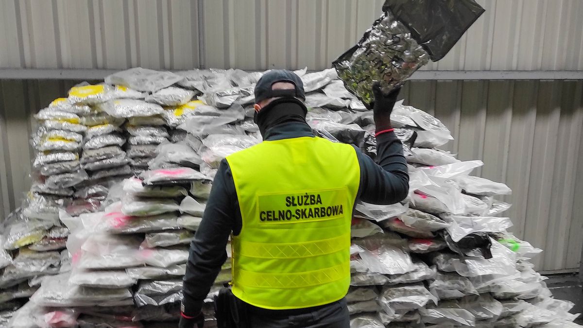 Przechwycona marihuana