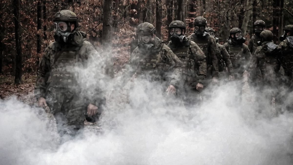 żołnierze, terytorialsi