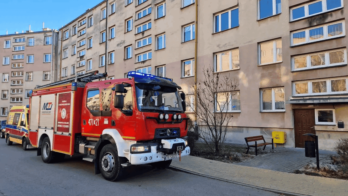 Foto dzięki uprzejmości SpottedAlert.pl