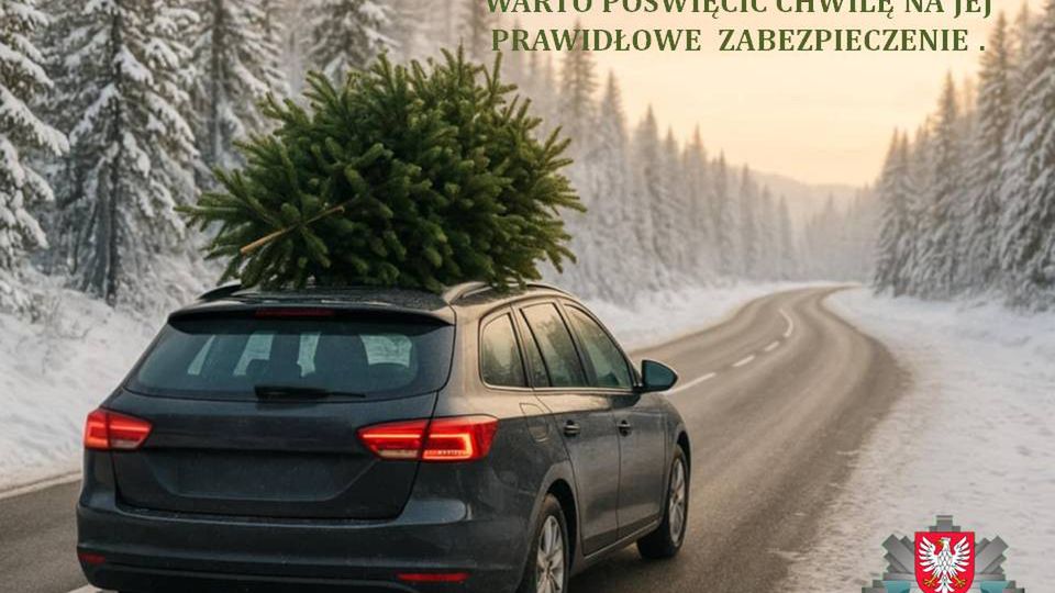 Jak przewozić choinkę?