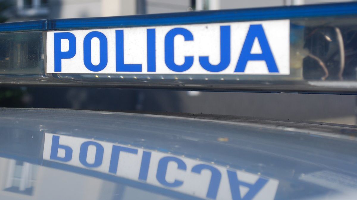 policja