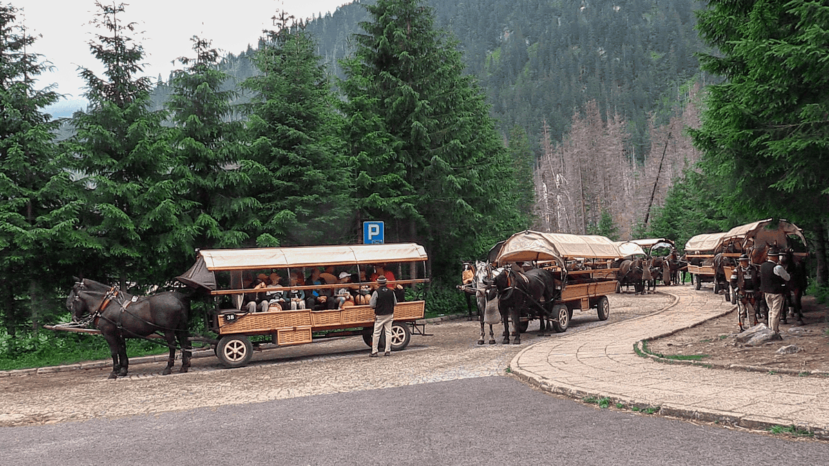 koniki, morskie oko, palenica białczańska, tatry, góry