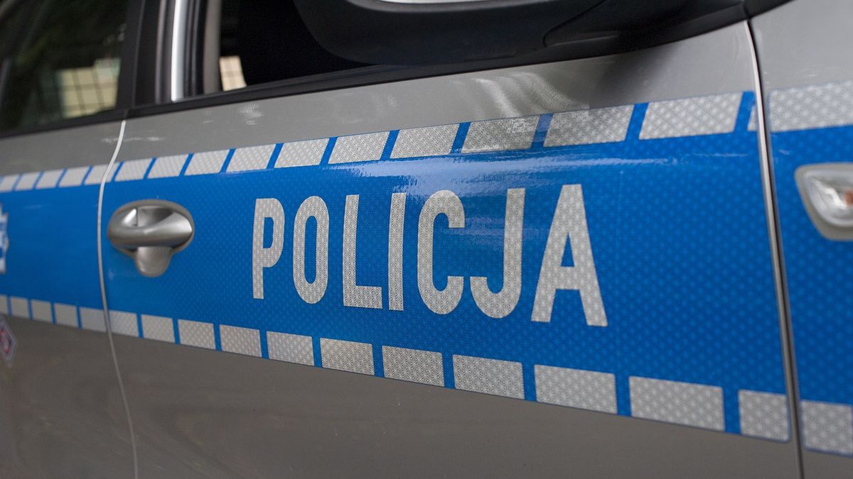 policja
